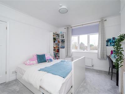 Picture 7